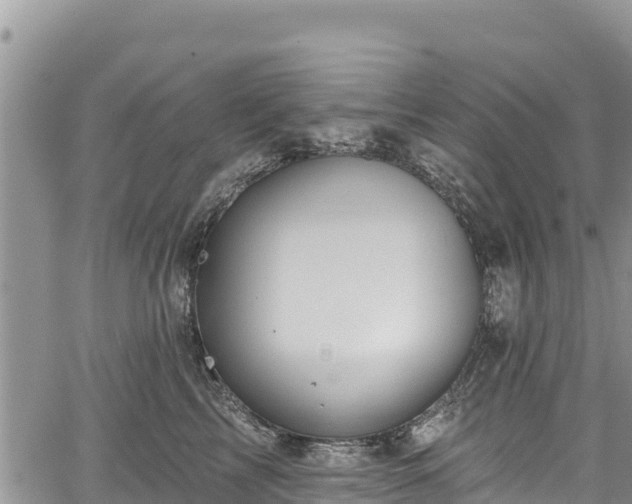 X0000067510713200604101256