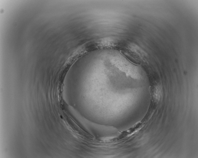 X0000067510715200604101256