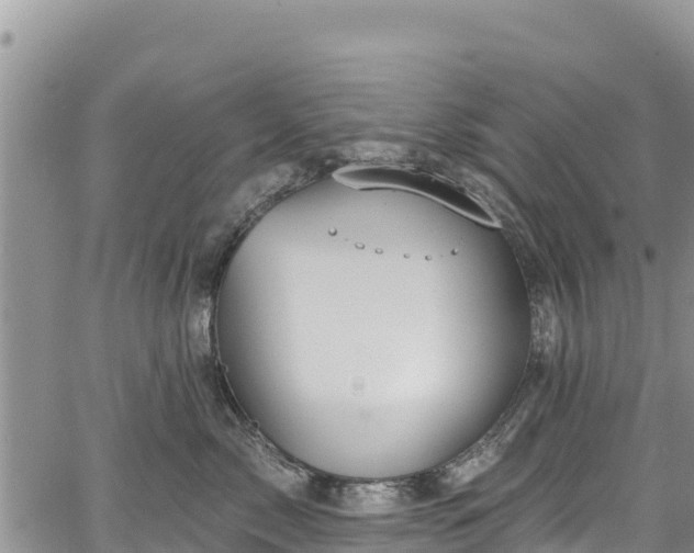 X0000067510717200604101255