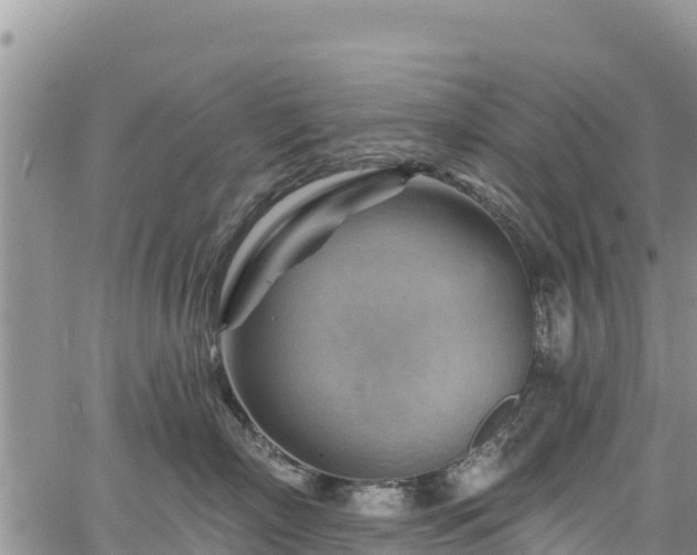 X0000067510718200604101255