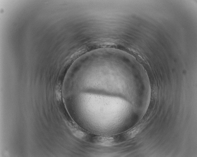 X0000067510719200604101255