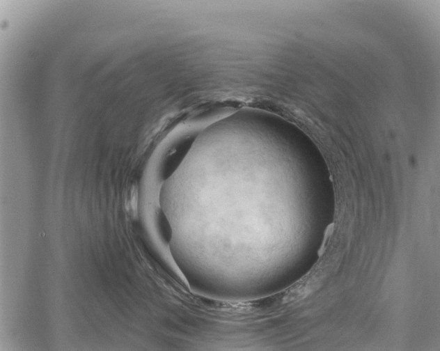 X0000067510720200604101255