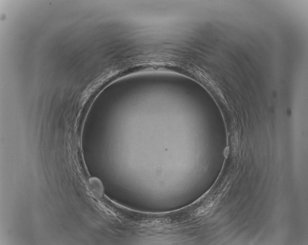 X0000067510721200604101255