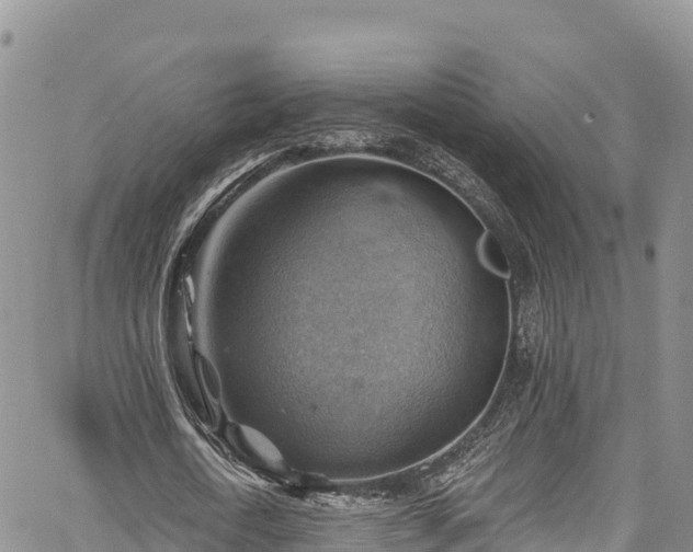 X0000067510722200604101255