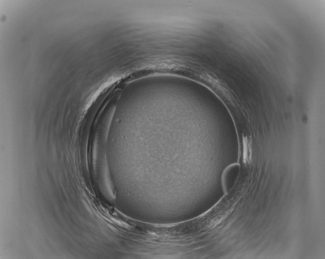 X0000067510723200604101255