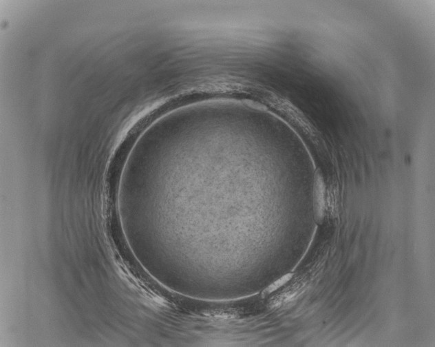 X0000067510724200604101255