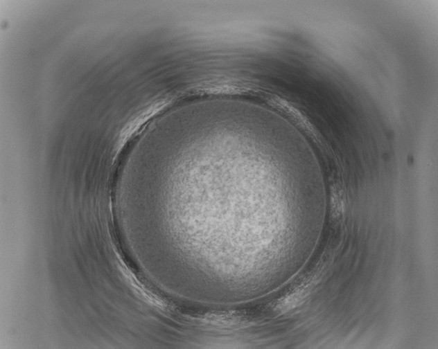 X0000067510725200604101255