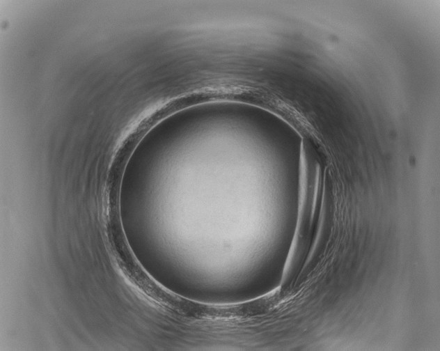 X0000067510726200604101255