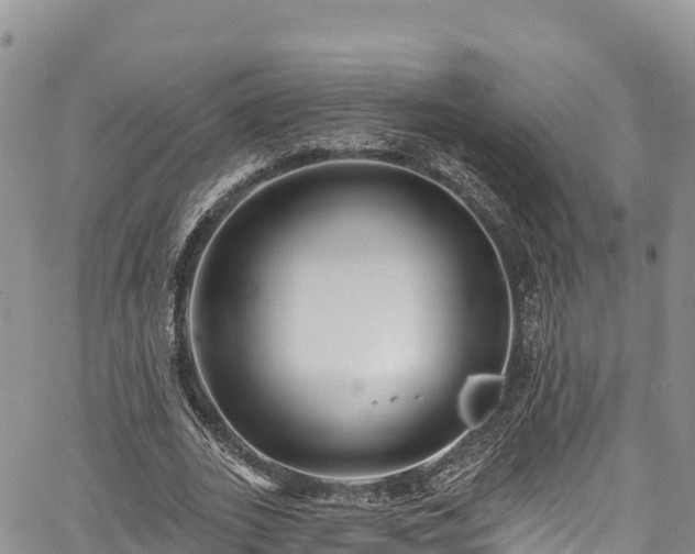 X0000067510727200604101255