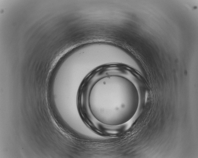 X0000067510728200604101255