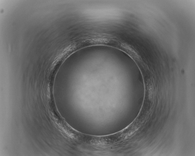 X0000067510729200604101255