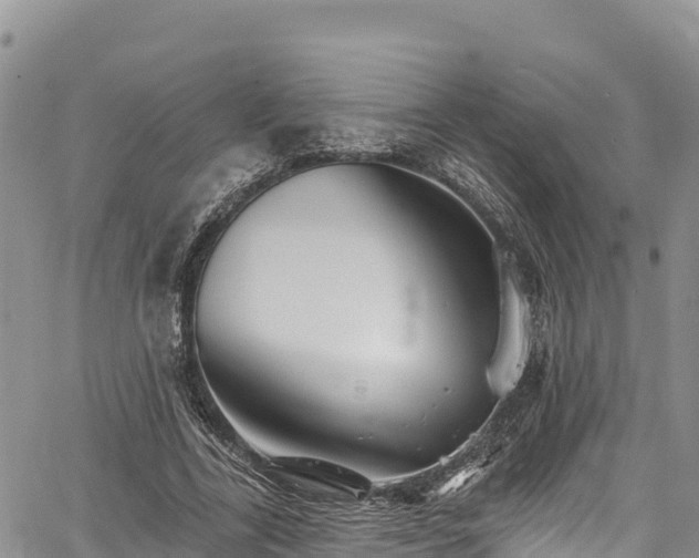 X0000067510731200604101255