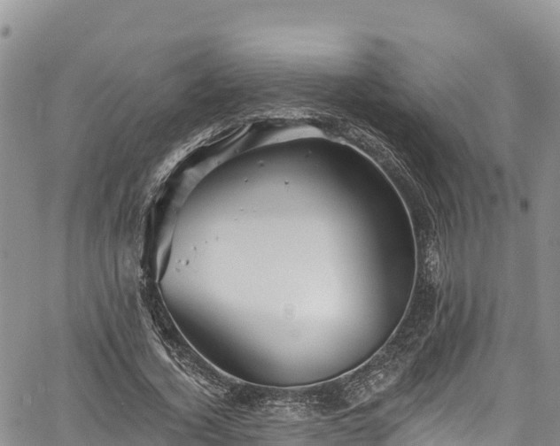 X0000067510732200604101255