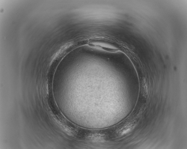 X0000067510734200604101255