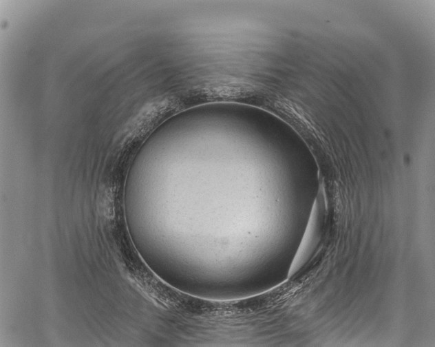 X0000067510738200604101255