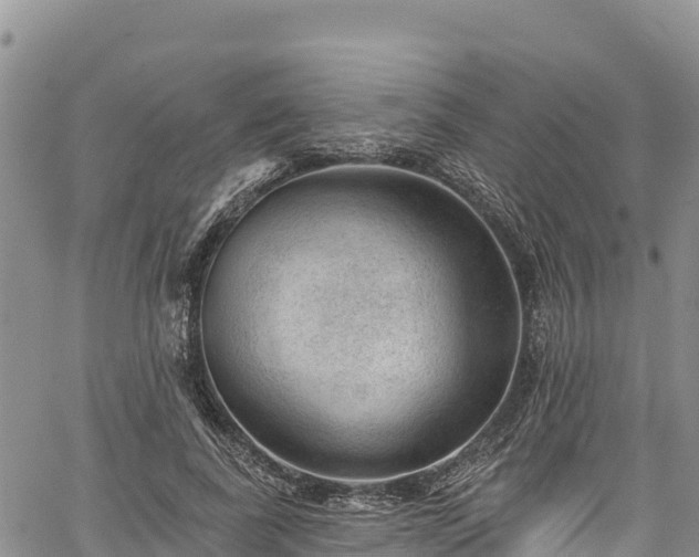 X0000067510739200604101255