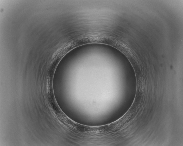 X0000067510740200604101255