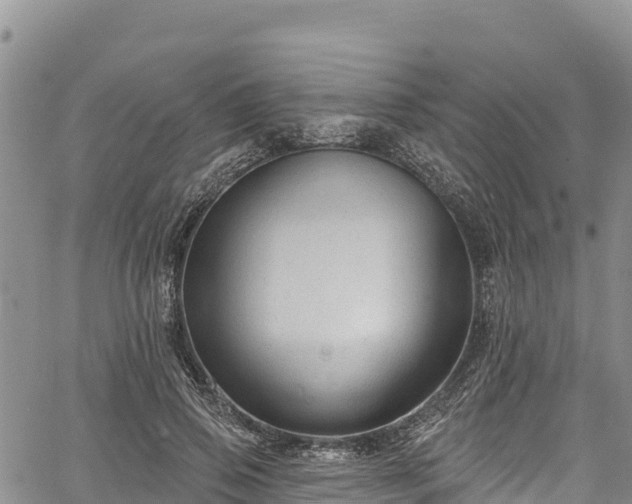 X0000067510741200604101255