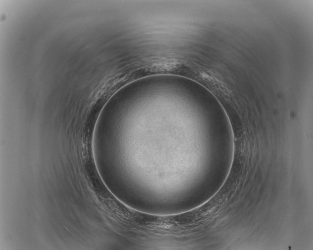 X0000067510743200604101255