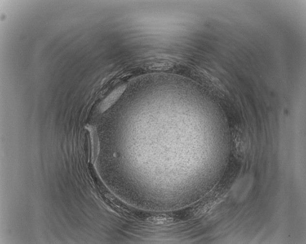 X0000067510745200604101255