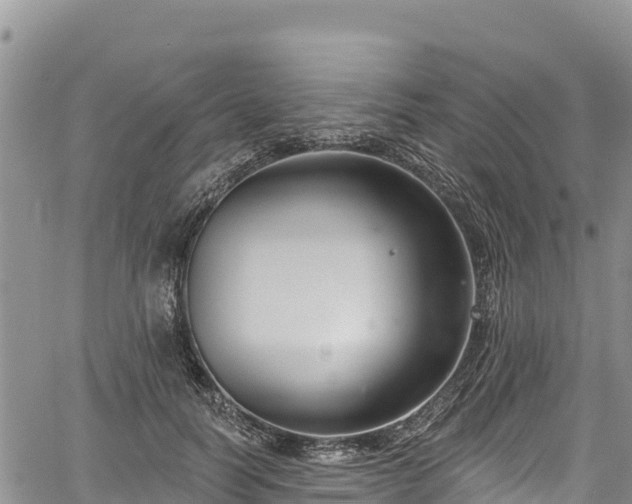 X0000067510746200604101255