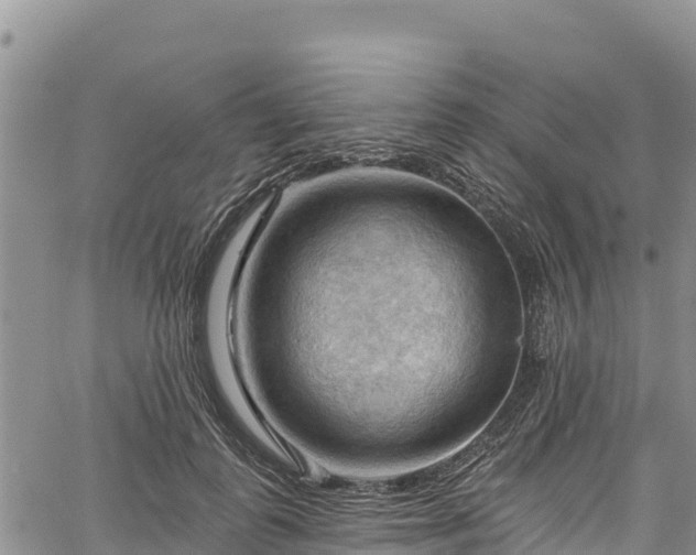 X0000067510747200604101255