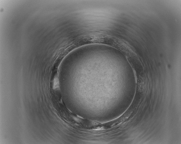 X0000067510748200604101255