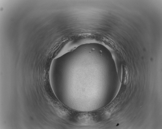 X0000067510750200604101255