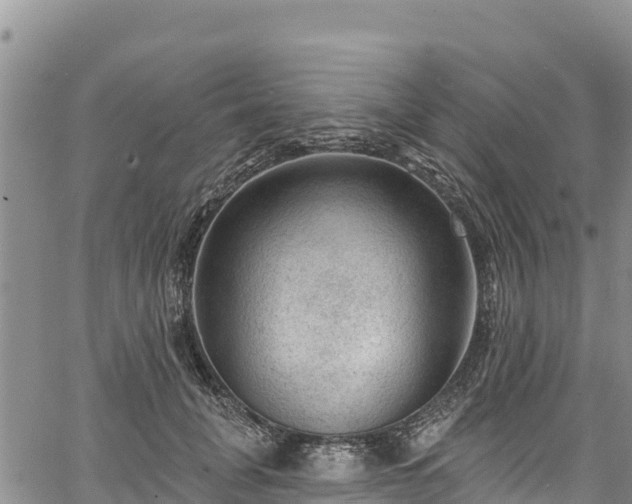 X0000067510751200604101255