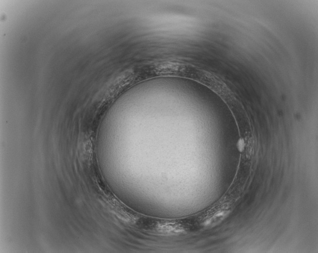 X0000067510753200604101255