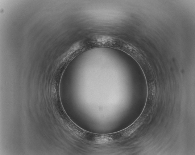 X0000067510754200604101255