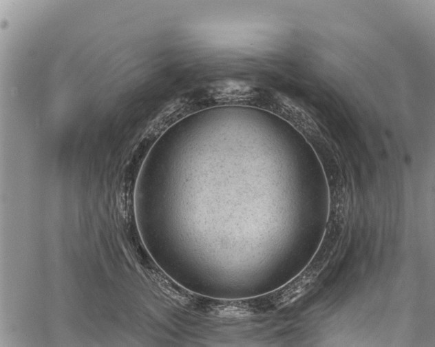 X0000067510755200604101255