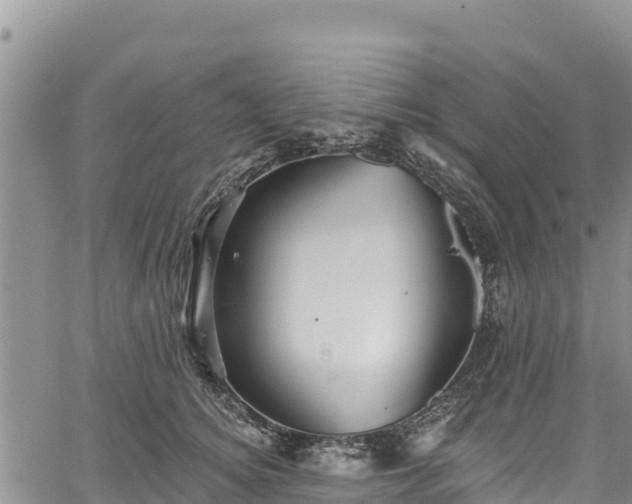 X0000067510756200604101255