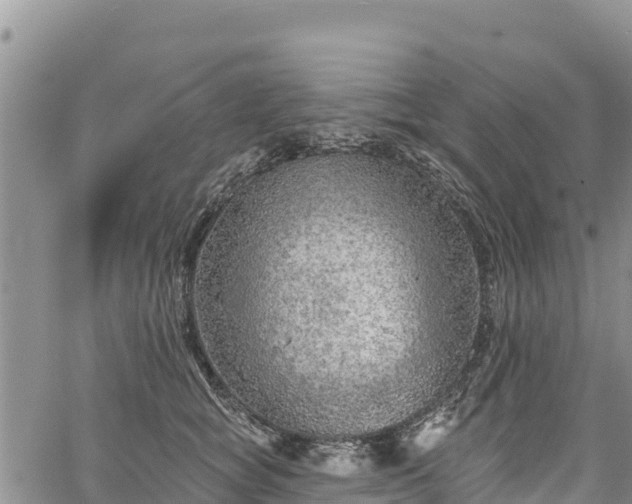 X0000067510757200604101255