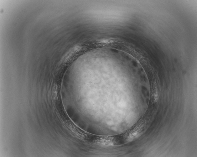 X0000067510758200604101255