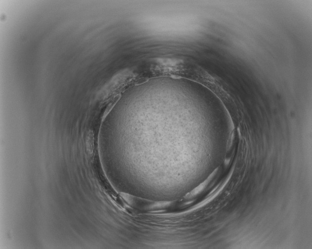 X0000067510760200604101255