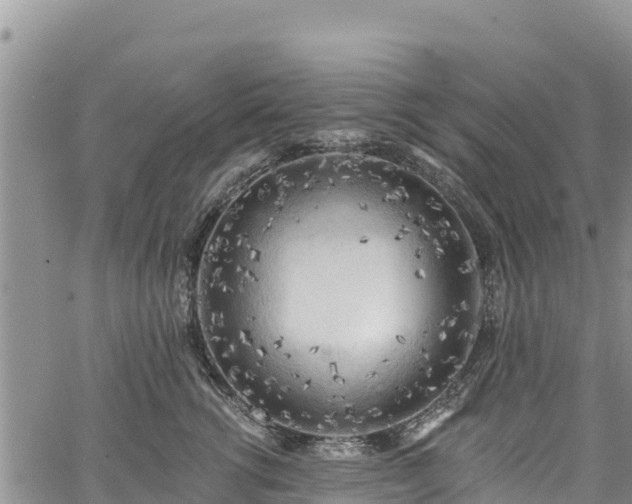 X0000067510762200604101255