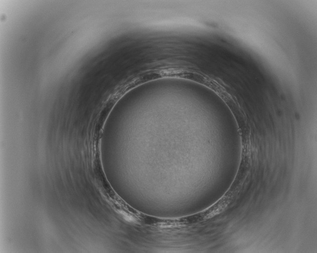 X0000067510763200604101255