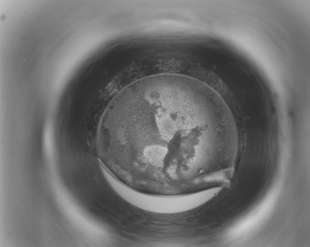 X0000067510765200604101255