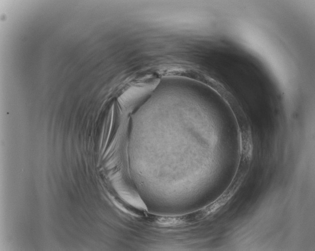 X0000067510766200604101255