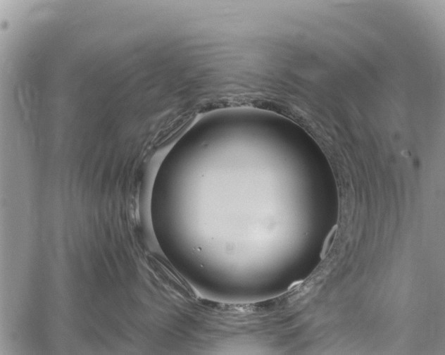 X0000067510768200604101255