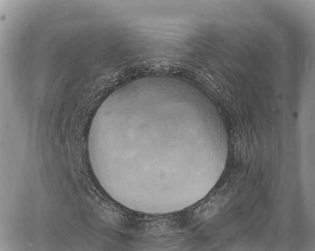 X0000067510769200604101255