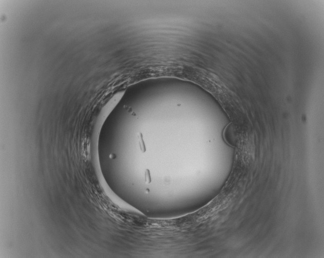 X0000067510770200604101255