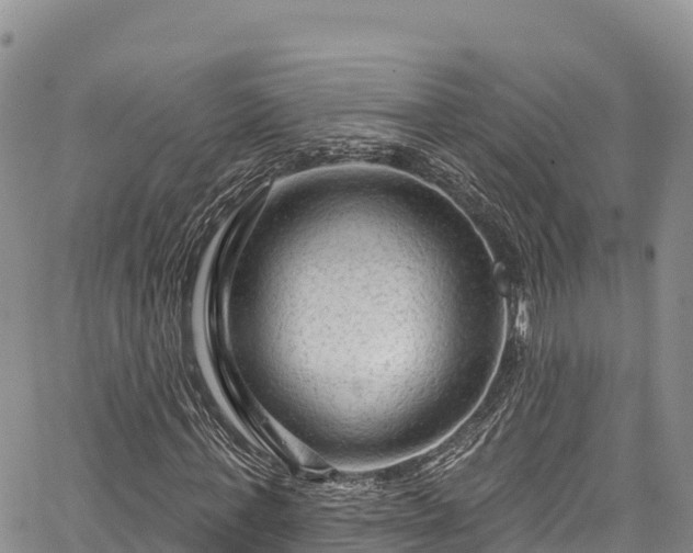 X0000067510771200604101255