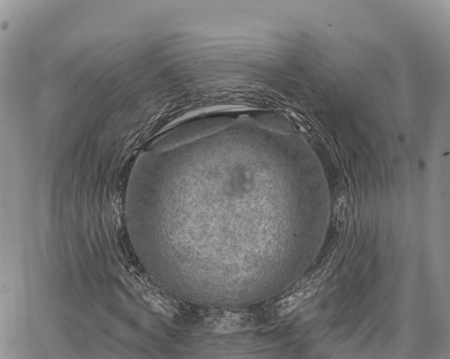 X0000067510772200604101255