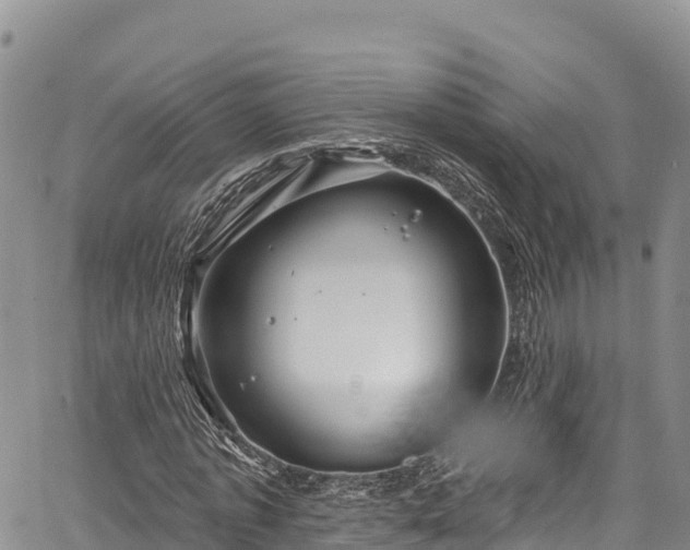 X0000067510773200604101255