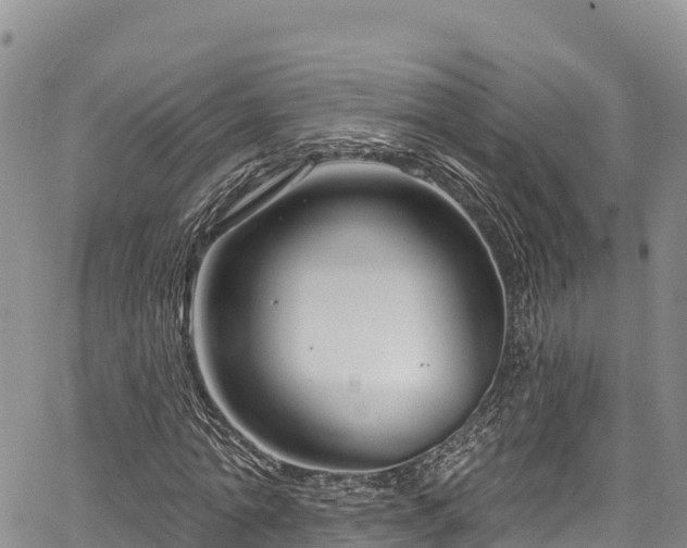 X0000067510774200604101255