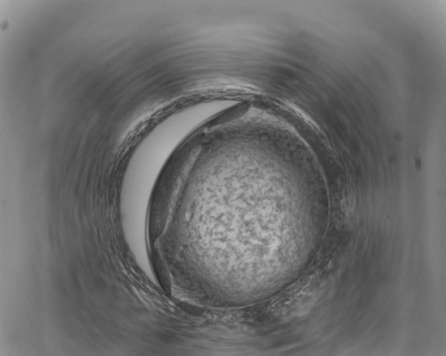 X0000067510775200604101255