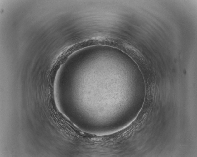 X0000067510776200604101255