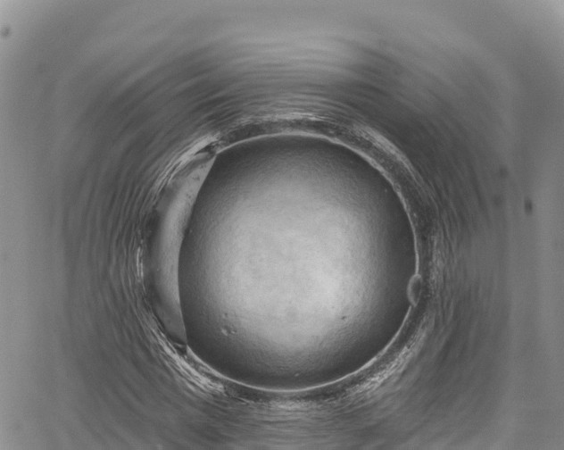 X0000067510777200604101254